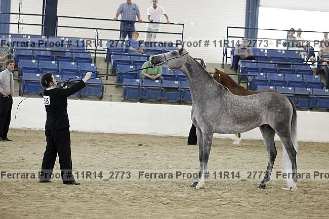 Proof 11r14_2773