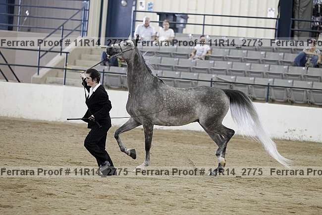 Proof 11r14_2775
