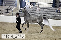 11r14_2775 proof