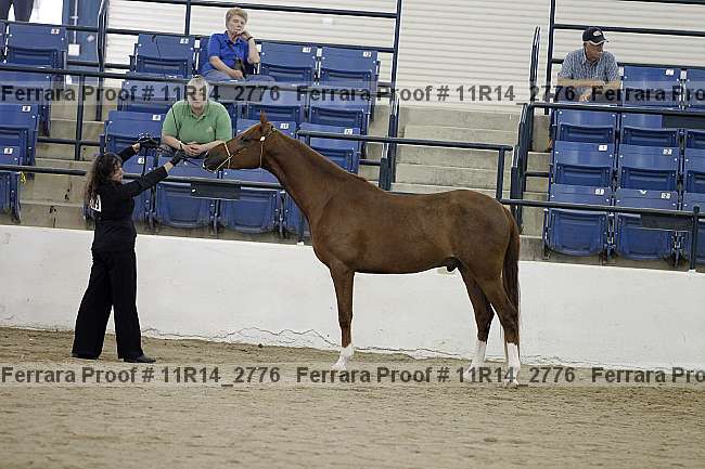 Proof 11r14_2776