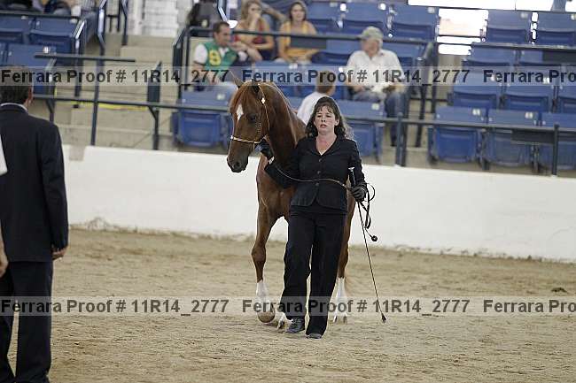 Proof 11r14_2777