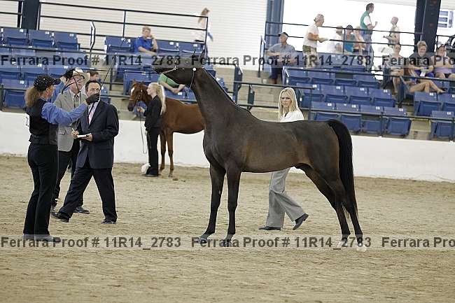 Proof 11r14_2783