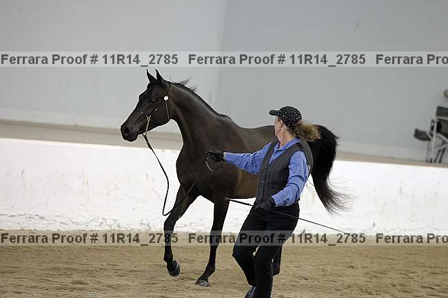 Proof 11r14_2785