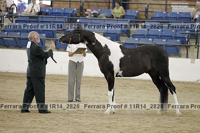 Proof 11r14_2828
