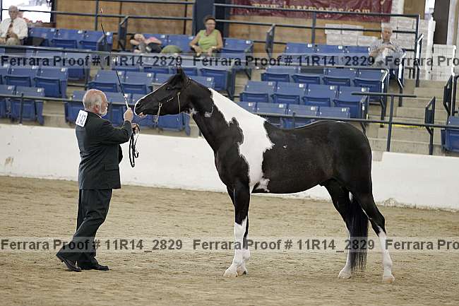 Proof 11r14_2829