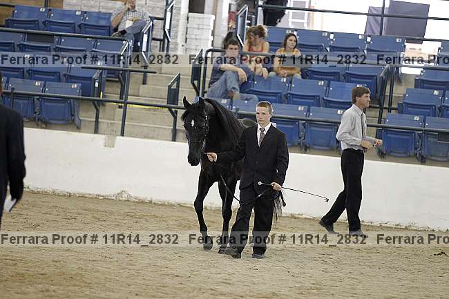 Proof 11r14_2832