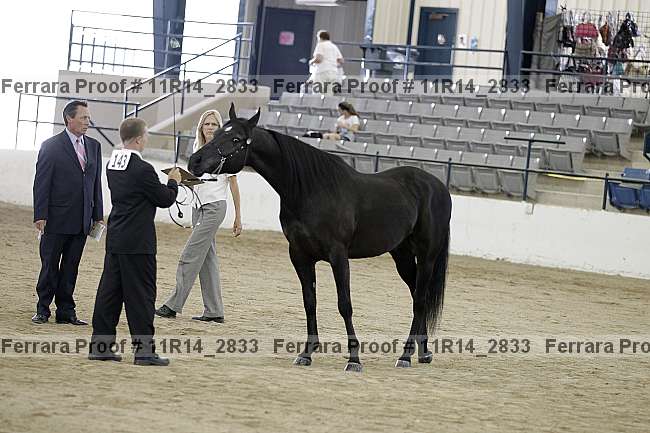 Proof 11r14_2833