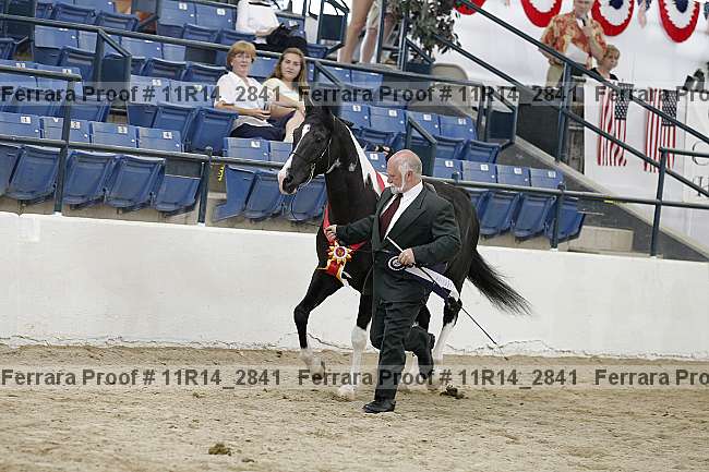 Proof 11r14_2841
