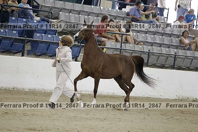 Proof 11r14_2847