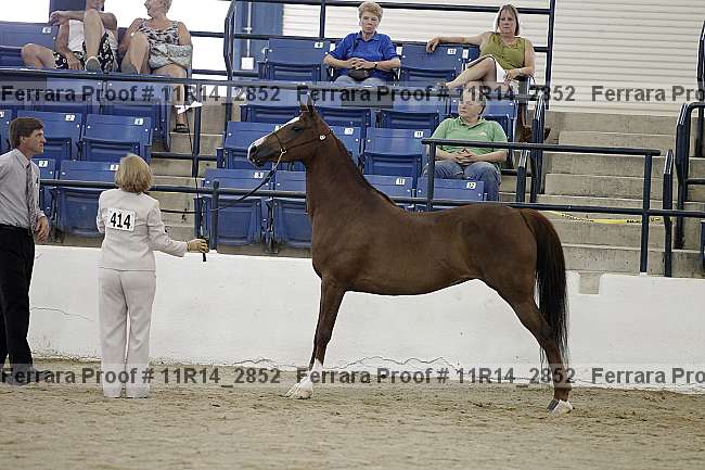 Proof 11r14_2852