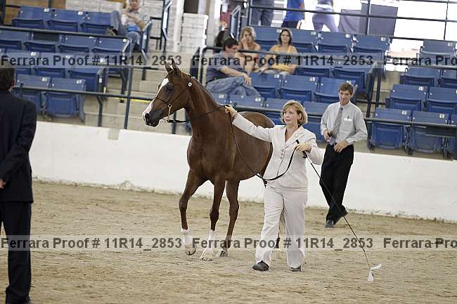 Proof 11r14_2853