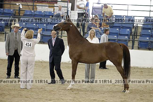 Proof 11r14_2855