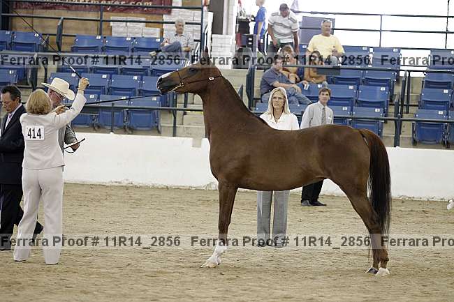 Proof 11r14_2856