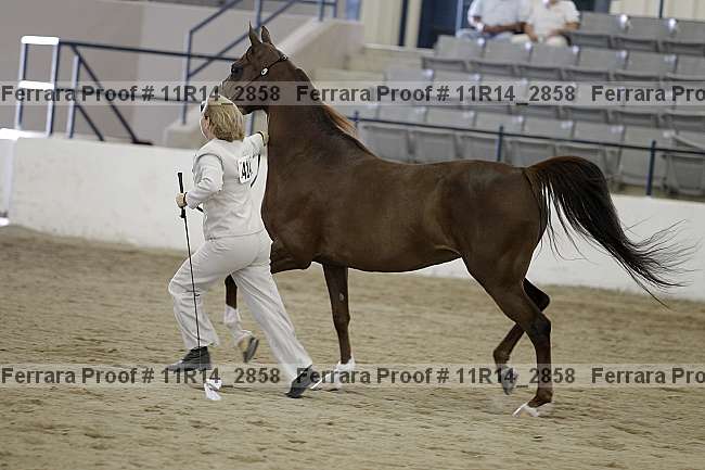 Proof 11r14_2858