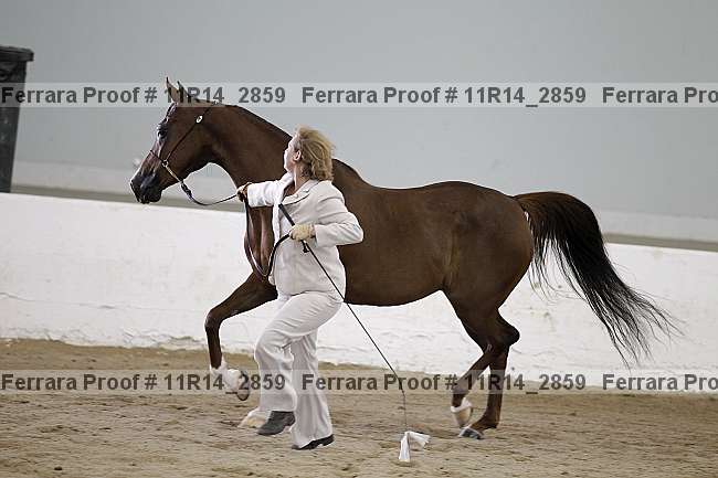 Proof 11r14_2859