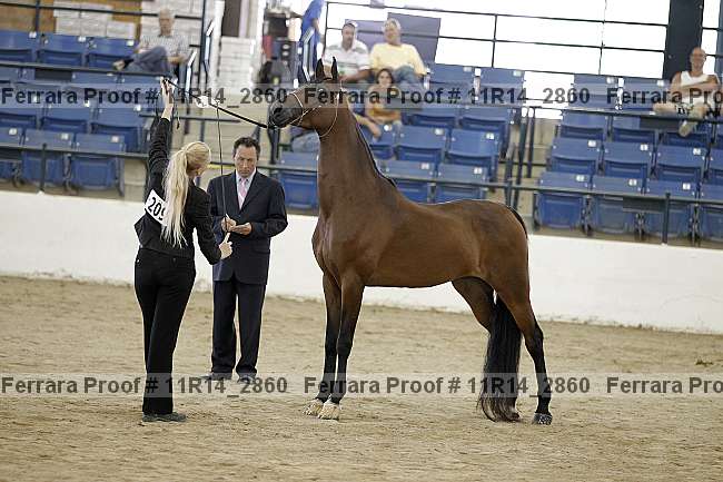 Proof 11r14_2860