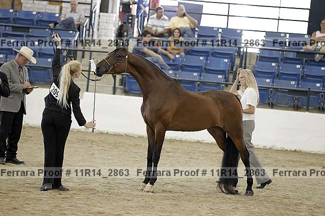 Proof 11r14_2863