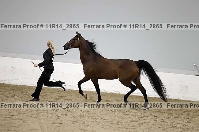 Proof 11r14_2865