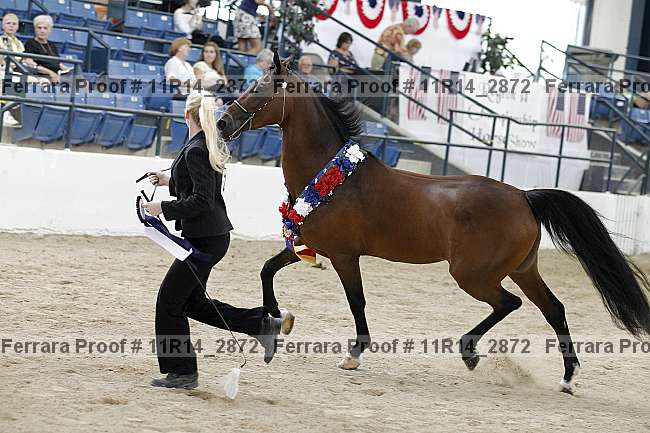 Proof 11r14_2872