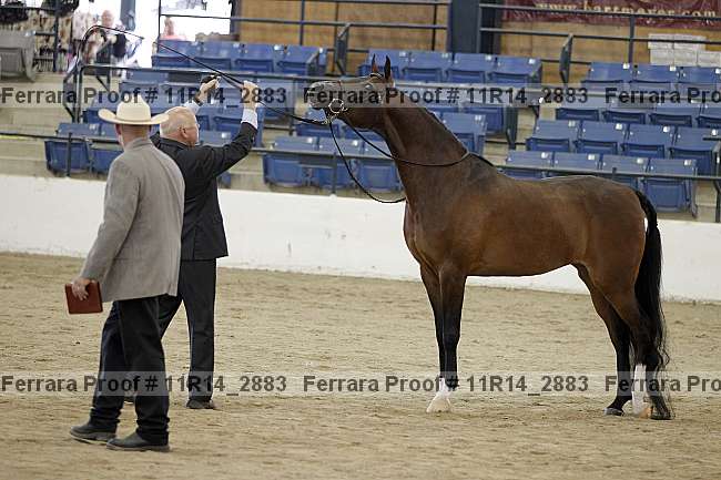 Proof 11r14_2883