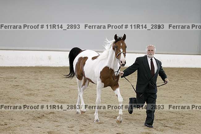 Proof 11r14_2893