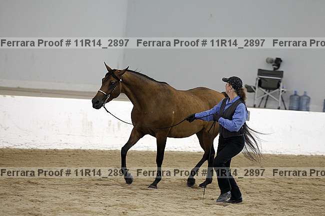 Proof 11r14_2897
