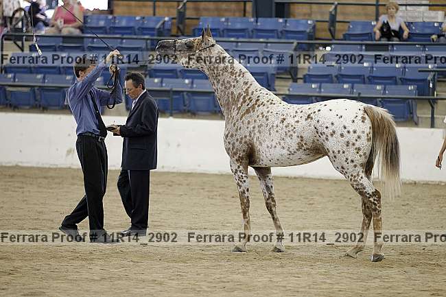 Proof 11r14_2902