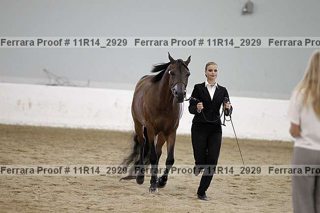 Proof 11r14_2929