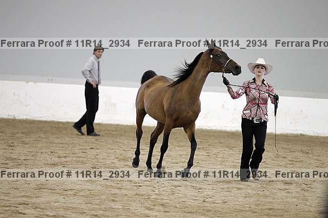 Proof 11r14_2934