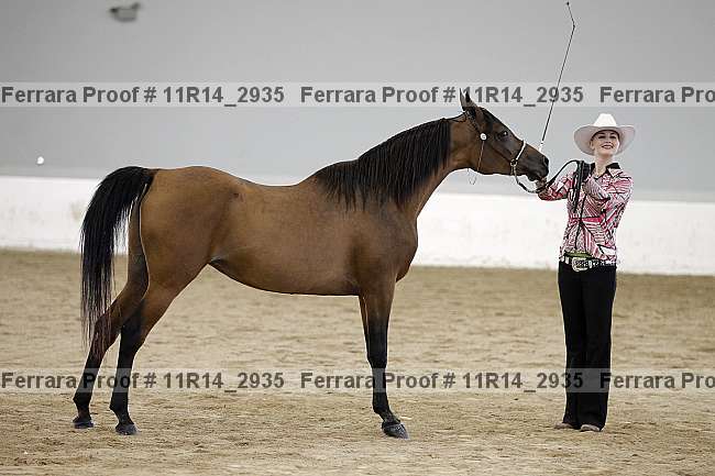 Proof 11r14_2935