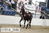 11r14_2946 proof