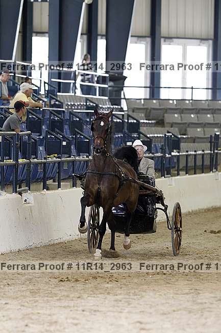 Proof 11r14_2963