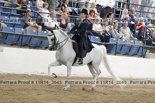 Proof 11r14_3045
