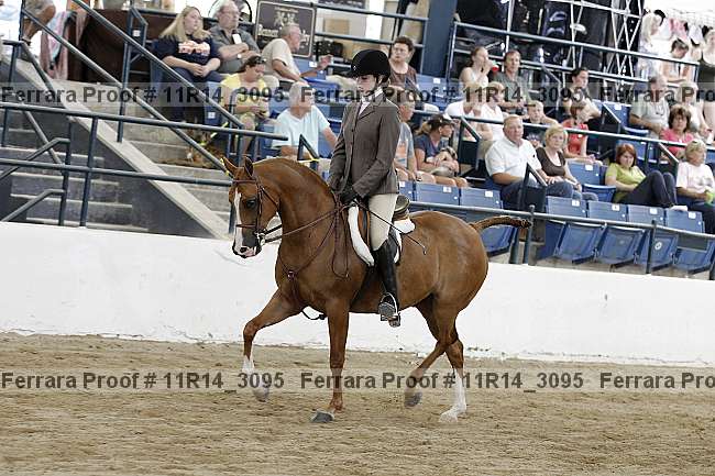 Proof 11r14_3095