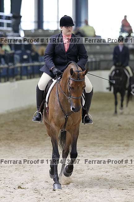 Proof 11r14_3097