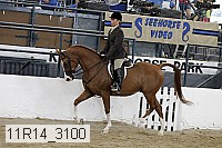 11r14_3100 proof