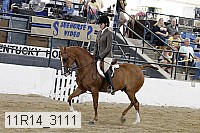 11r14_3111 proof