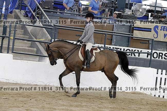 Proof 11r14_3115