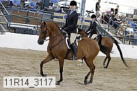 11r14_3117 proof
