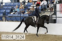 11r14_3124 proof