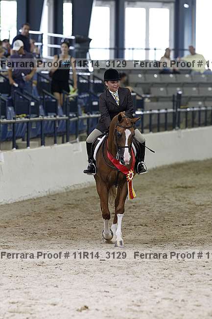 Proof 11r14_3129