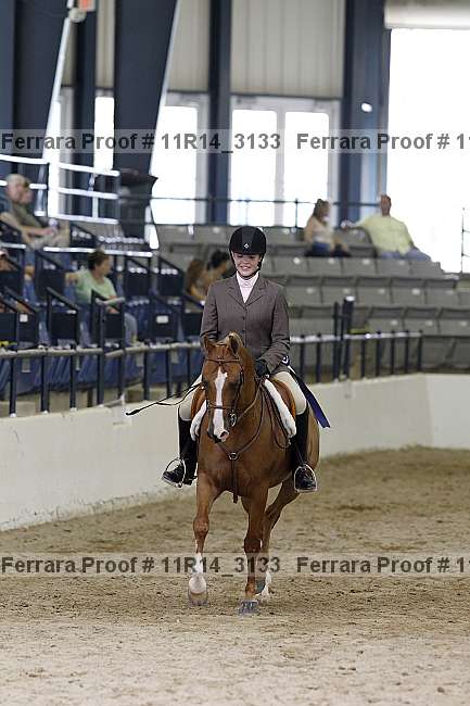 Proof 11r14_3133