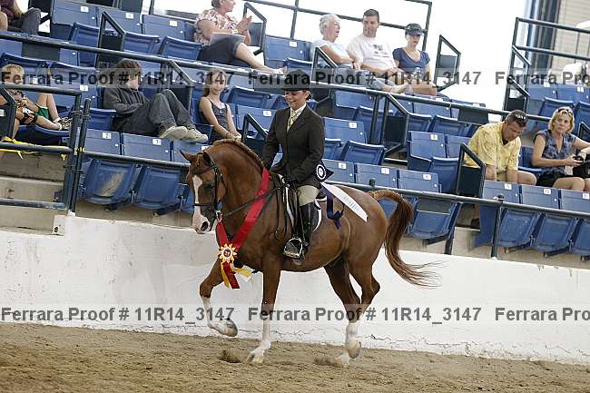 Proof 11r14_3147