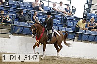 11r14_3147 proof