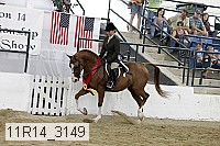 11r14_3149 proof