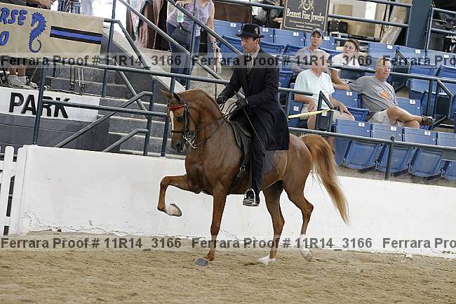 Proof 11r14_3166
