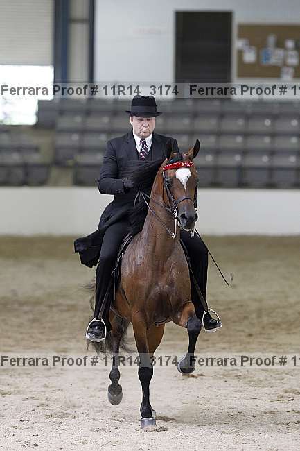 Proof 11r14_3174