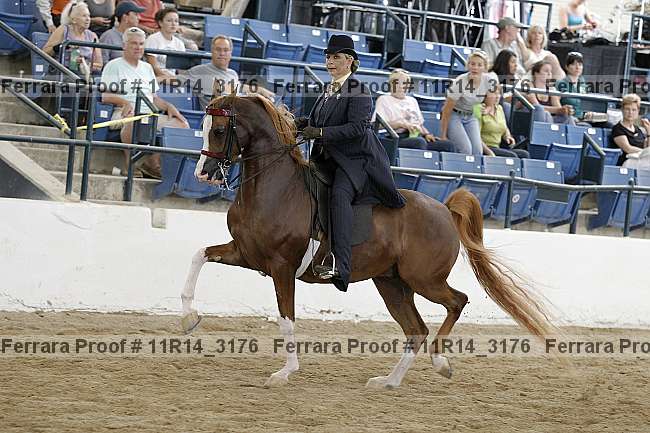 Proof 11r14_3176