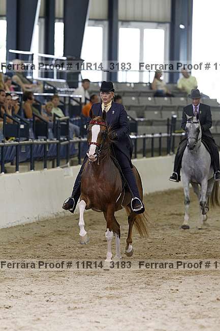Proof 11r14_3183