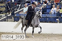 11r14_3193 proof